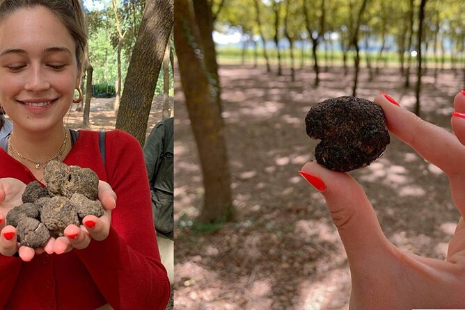 Experience Tuscan Truffle Hunting With Wine and Lunch - Learn Tree Identification for Truffles