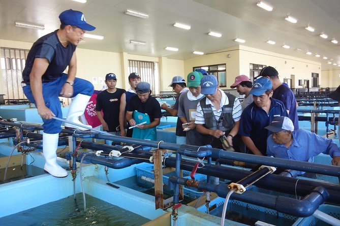 Explore Fishermen Island in Japan(Ise-Shima) - Scenic Landscapes