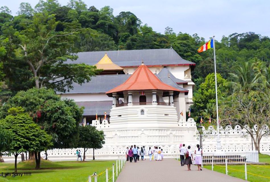 Explore Kandy, Pinnawala, and Tea Plantation From Kandy - Dress Code and Guidelines