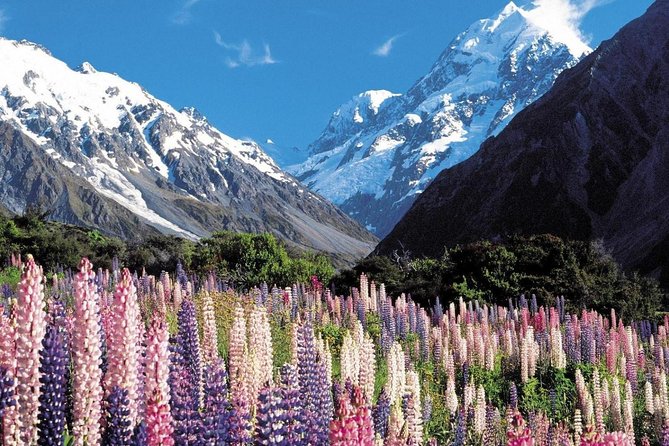 Explore Mount Cook From Christchurch - Cancellation Policy & Logistics