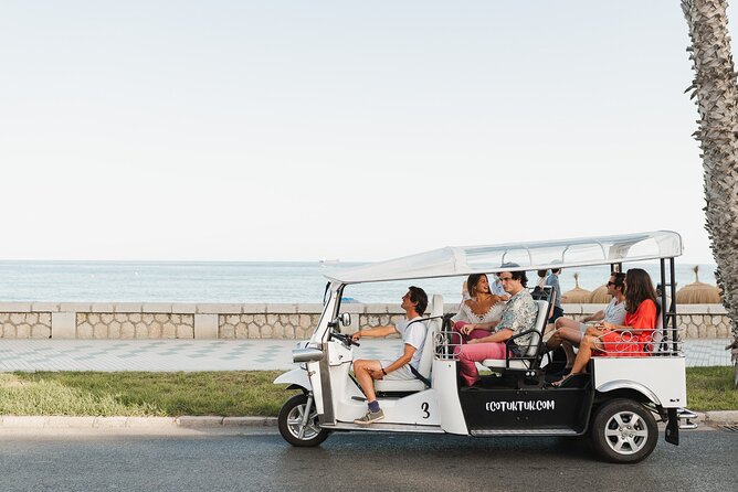 Express Tour of Malaga in Private Eco Tuk Tuk - Traveler Reviews and Ratings