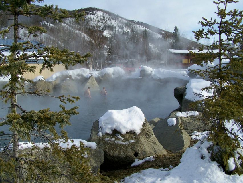 Fairbanks: Northern Lights and Chena Hot Springs Tour - Experience Highlights