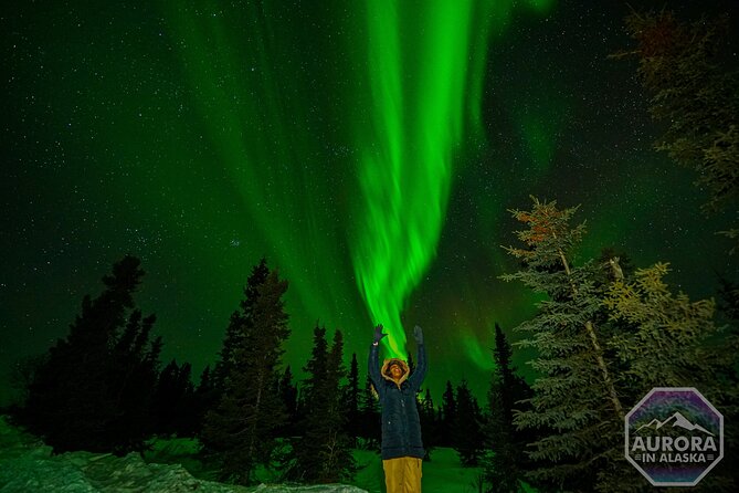 Fairbanks Small-Group Aurora Chasing Tour (Mar ) - Tour Details