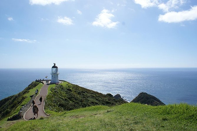 Far North New Zealand Tour Including 90 Mile Beach and Cape Reinga From Paihia - Traveler Experience and Reviews