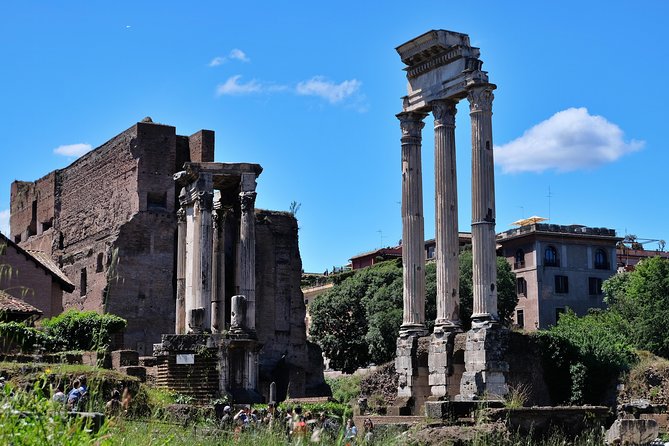 Fast Track: Colosseum, Palatine Hill and Roman Forum Tour - Guides Performance and Insights