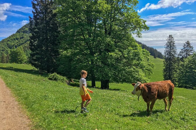 Feels Like Sound of Music - Reisalpe Summit Exploration