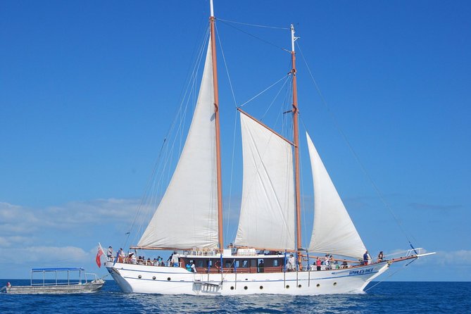 Fijian Islands and Snorkel Full-Day Whales Tale Cruise Including Beach BBQ Lunch - Cancellation Policy