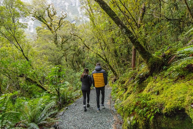 Fiordland National Park, Milford Sound Cruise From Queenstown (Mar ) - Scenery and Nature Experience