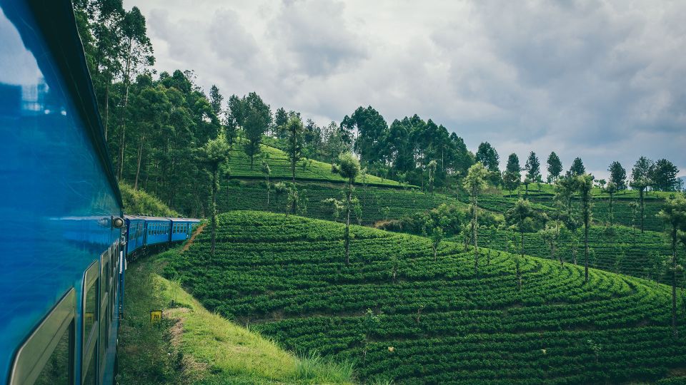 First Class Ella From/To Kandy Scenic Train Ticket - Booking Information