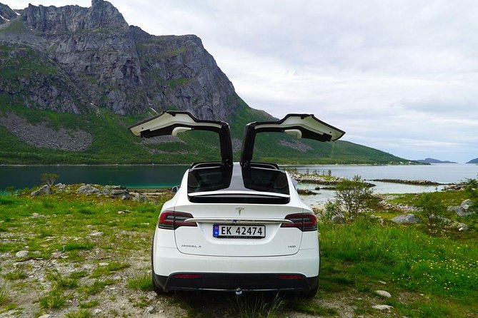 Fjord Sightseeing - Eco Friendly Tesla Model X - Flexible Cancellation Policy