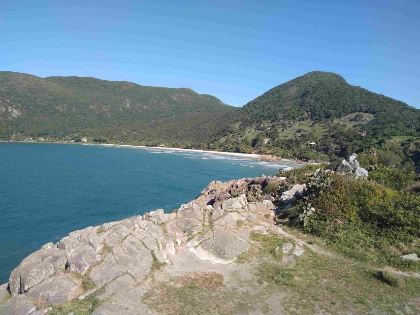 Florianópolis: Tropical Island Panoramic Tour - Tour Highlights and Activities