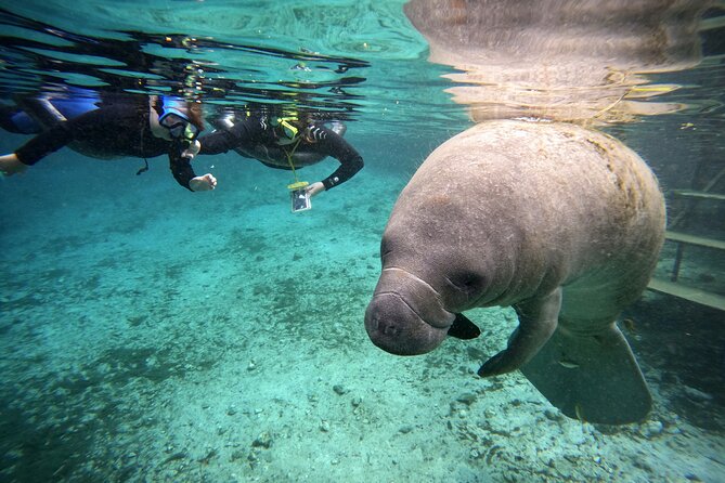 Florida Manatees, Nature Park, and Airboat Tour From Orlando (Mar ) - Tour Itinerary