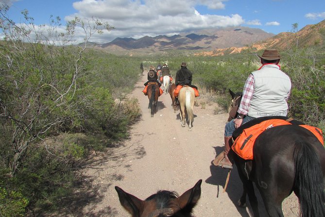 Foot of the Andes Horseback Riding Full-Day Tour (Mar ) - Guest Feedback
