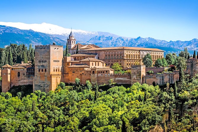 For Cruise Passengers ONLY: Granada and Alhambra From Malaga Port - Reviews and Feedback