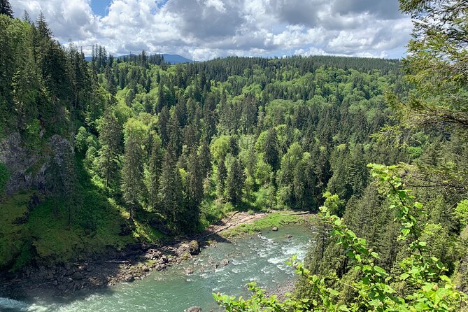 Forest Hike to Gorgeous Twin and Snoqualmie Falls - Tour Guide and Feedback