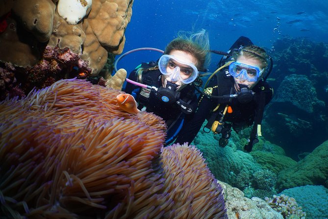 Four-Day PADI Gold Open Water Dive Certification, Port Douglas - Logistics and Meeting Point
