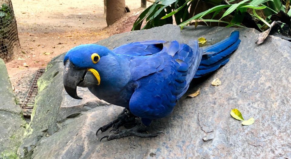Foz Do Iguaçu: Bird Park Tour With Tickets - Customer Reviews