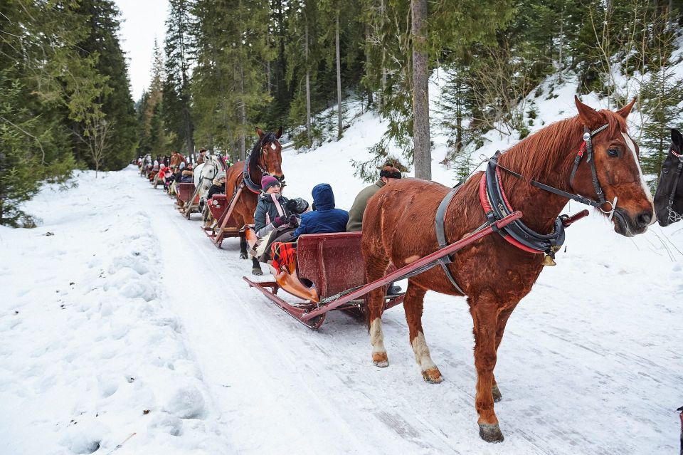 Fram Kraków; Tatra Mountain Sleigh Ride in Zakopane - Product Information Overview