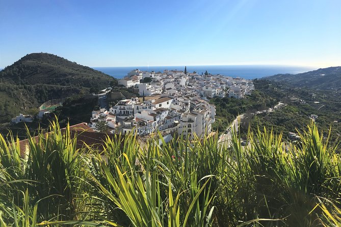 Frigiliana Small-Group Hike and Wine Tasting Tour From Malaga - Additional Information