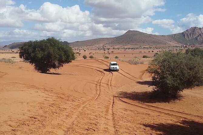 From Agadir or Taghazout: Small Desert Day Trip - Transportation Details