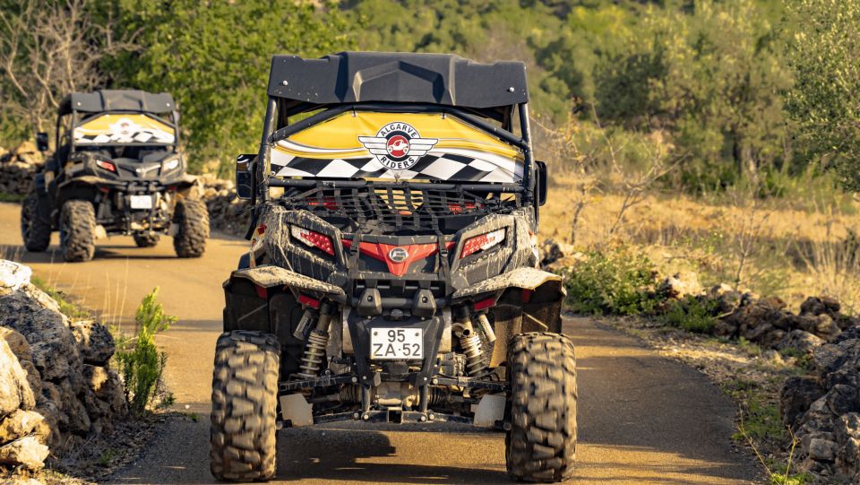 From Albufeira: Half-Day Buggy Adventure Tour - Live Tour Guide Information