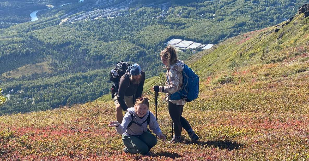 From Anchorage: Chugach State Park Guided Alpine Trek - Meeting Point