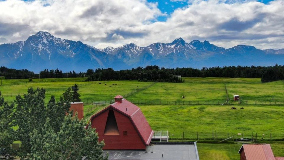 From Anchorage: Scenic Drive and Guided Musk Ox Farm Tour - Itinerary