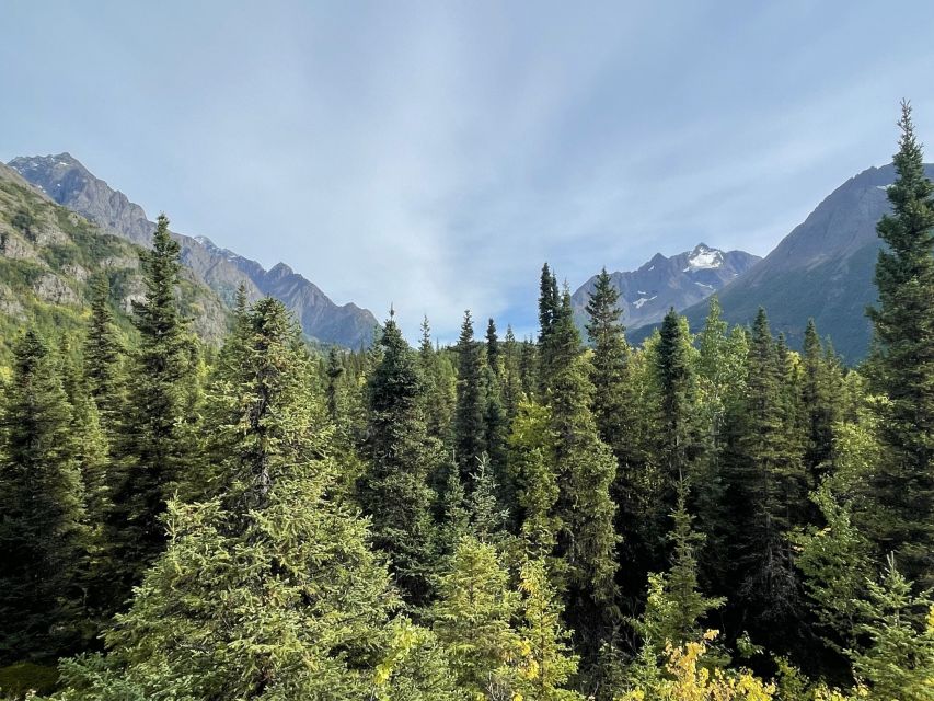 From Anchorage: Valley and Forest Hike With Naturalist Guide - Activity Description