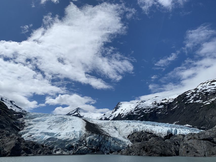 From Anchorage: Valley of Glaciers & Wildlife Center Tour - Portage Lake Cruise