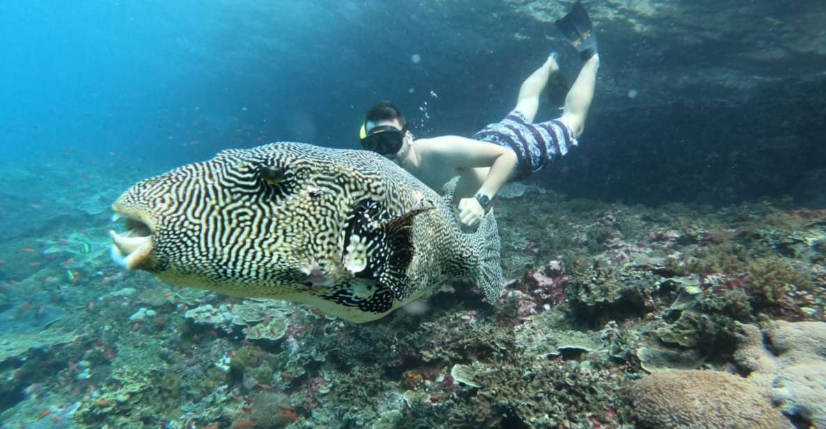 From Bali: Nusa Lembongan Snorkeling Mangrove and Land Tours - Island Exploration
