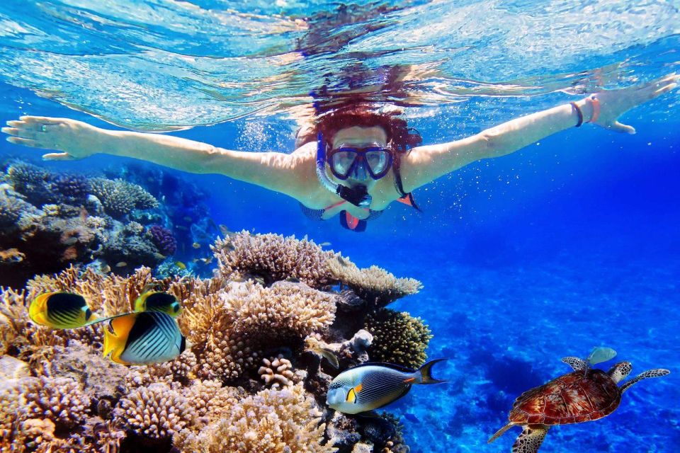 From Bali: Nusa Penida Snorkeling & Island Tour Special Trip - Experience Highlights and Snorkeling Spots