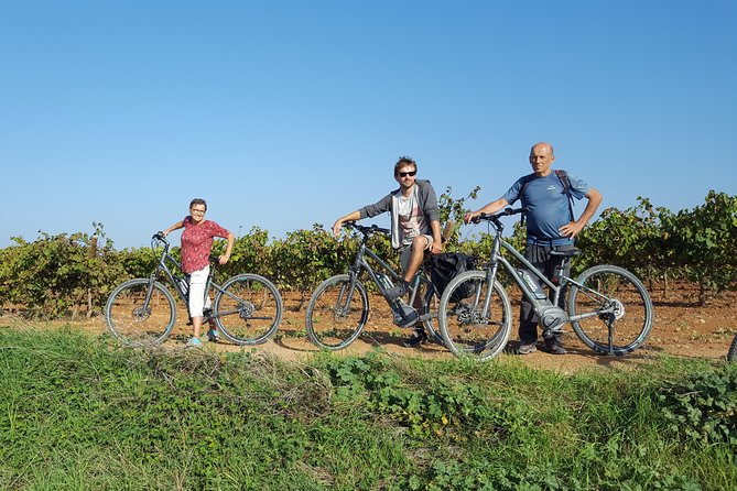 From Barcelona: E-Bike Tour in the Vineyards With 2 Wineries - Pricing Details