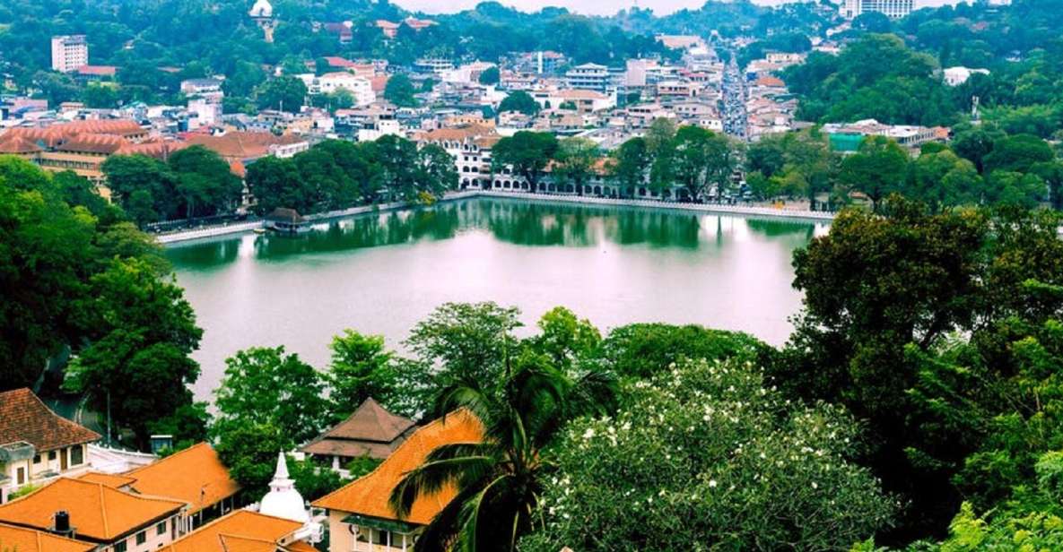 From Bentota: Kandy Tour With Tooth Temple & Gardens Visit - Group Information and Size