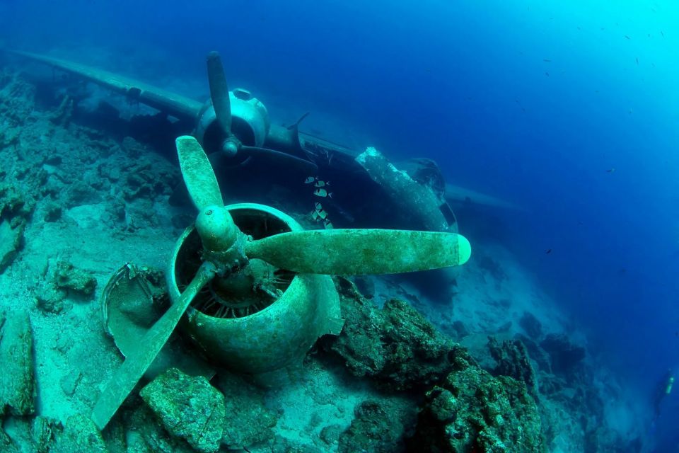 From Bodrum: Scuba Diving in the Aegean Sea - Equipment and Safety Measures