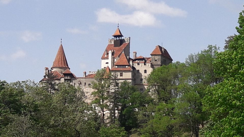 From Brasov: Peles Castle, Bran Castle & Cantacuzino Castle - Review Summary