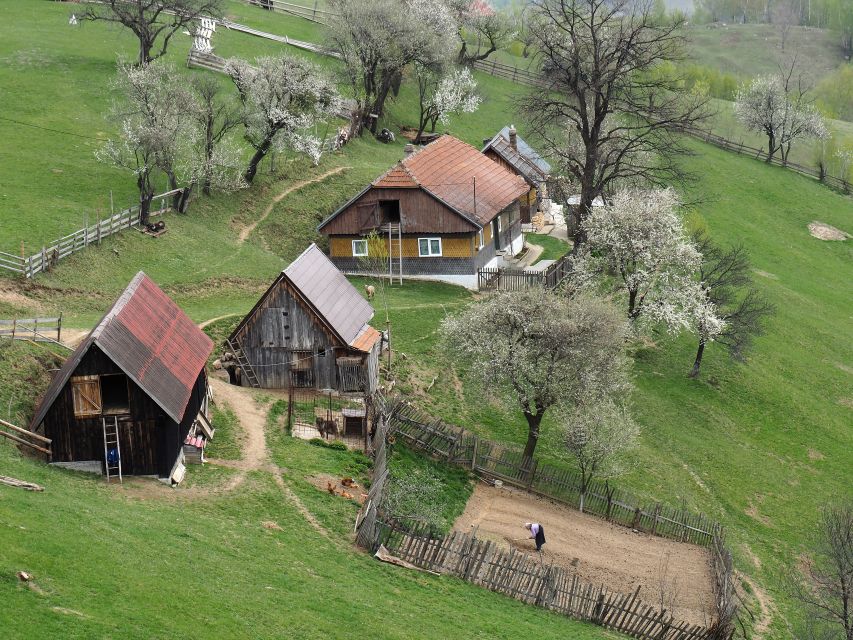 From Brasov: Romanian Mountain Villages Day Tour - Tour Highlights