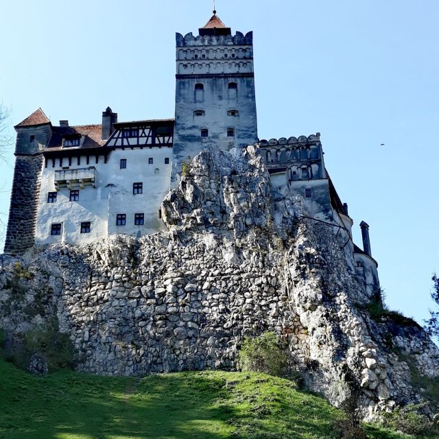 From Bucharest: Bear Sanctuary & Dracula's Castle Day Trip - Reservation Options