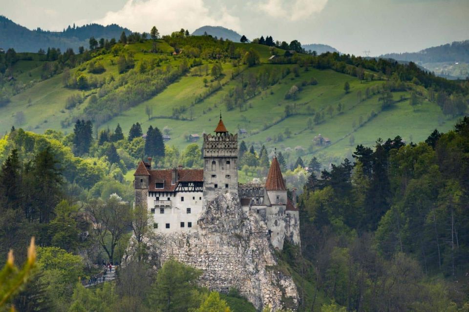 From Bucharest: Bran, Peles Castle & Brasov Private Day Tour - Customer Reviews