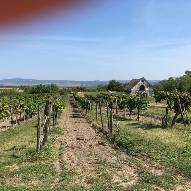 From Budapest: Etyek Half-Day Wine Tour - Experience Description