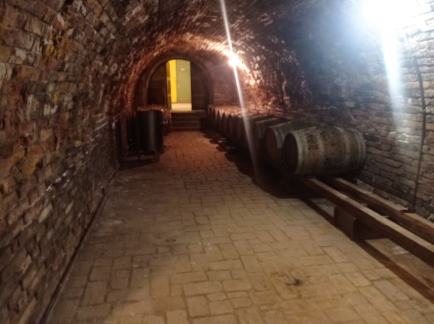 From Budapest: Wine &History Day Tour With Lunch and Palinka - Recommendations