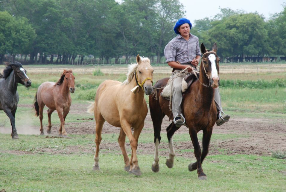 From Buenos Aires: Estancia Don Silvano Tour With Lunch. - Itinerary Highlights at Estancia Don Silvano