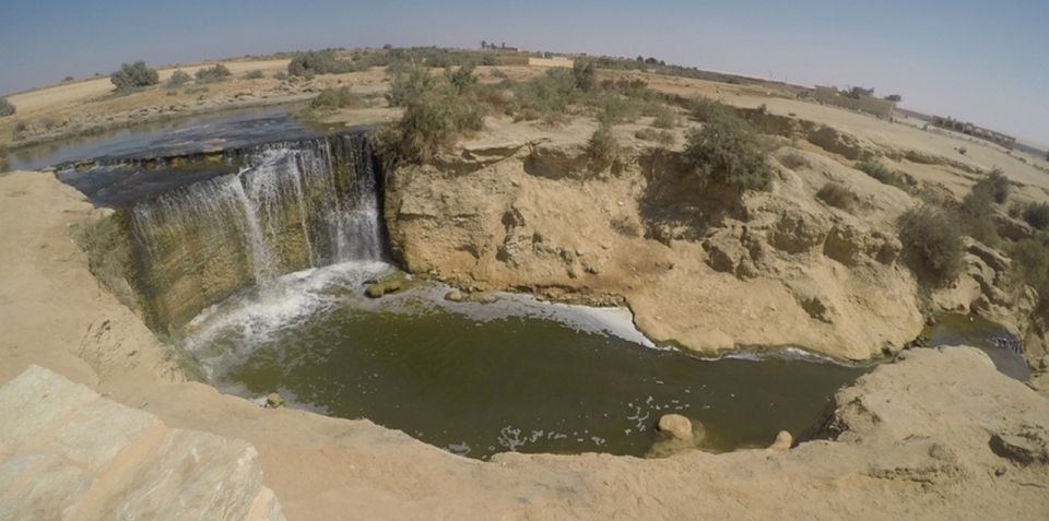 From Cairo: Fayoum Oasis and Wadi Al Rayan Guided Tour - Itinerary