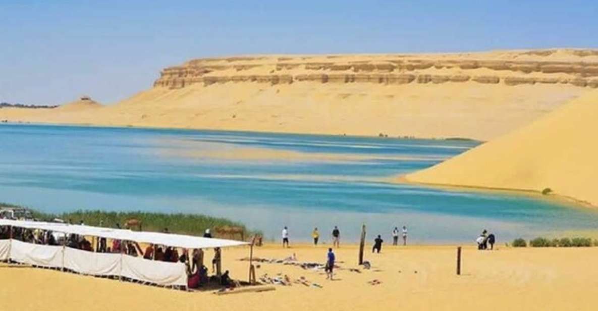 From Cairo: Whale Valley and Wadi El Rayan Waterfalls Tour - Booking Information