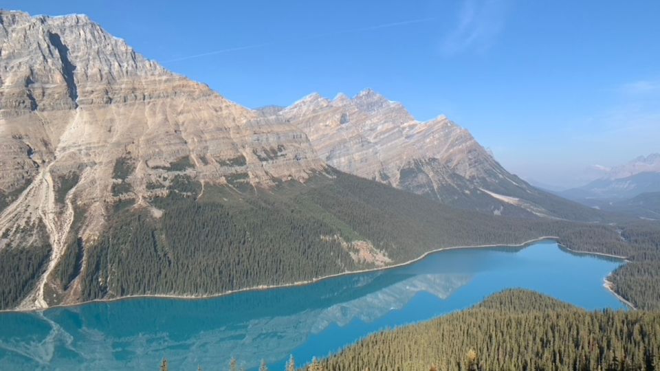 From Canmore/Banff: Icefields Parkway Experience - Transportation and Logistics