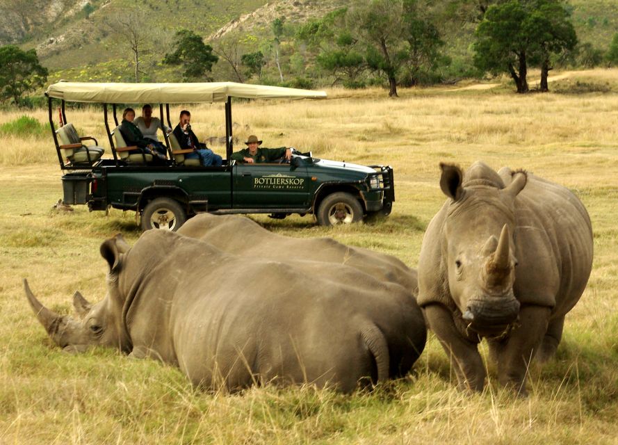 From Cape Town: 2-Day Wildlife and 4x4 Safari Experience - Wildlife Encounters