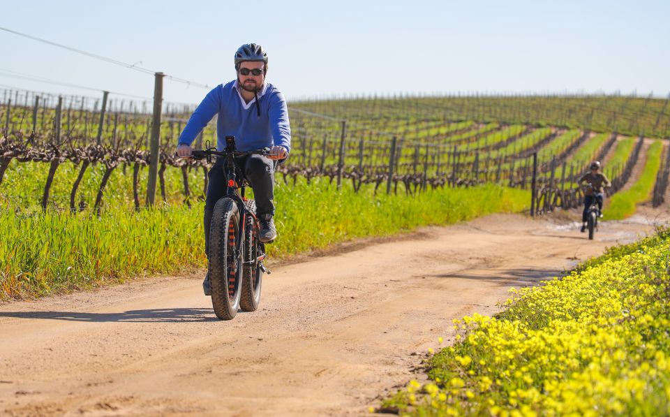 From Cape Town: E-Bike Winelands Tour - Vineyard Cycling Adventure