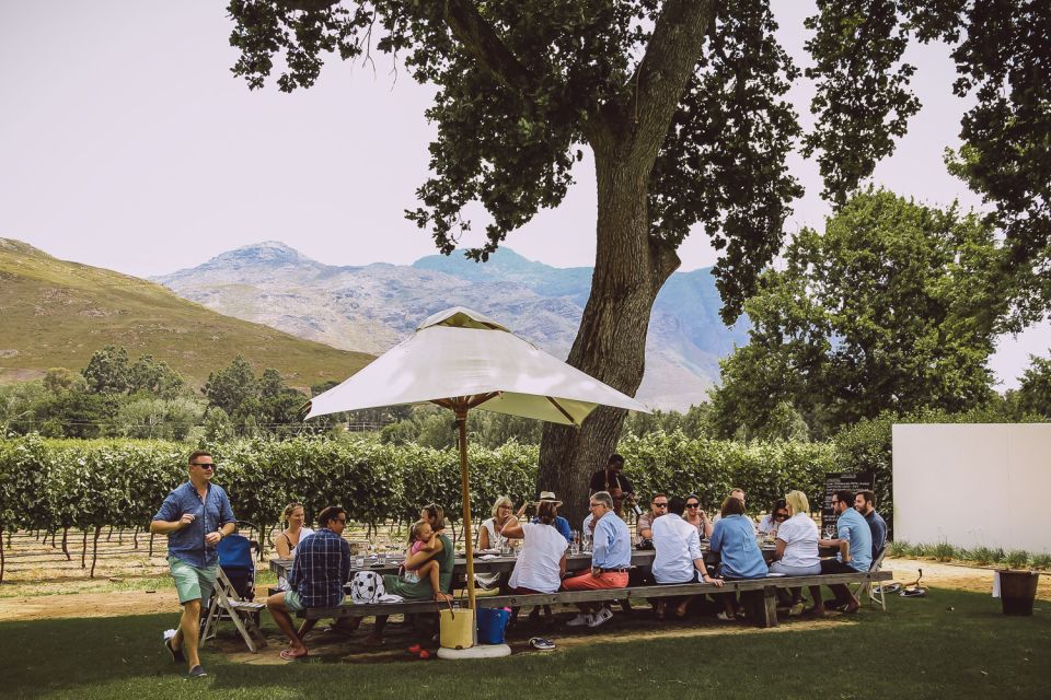 From Cape Town: Franschhoek Wine Tram Hop-on Hop-off - Route Options