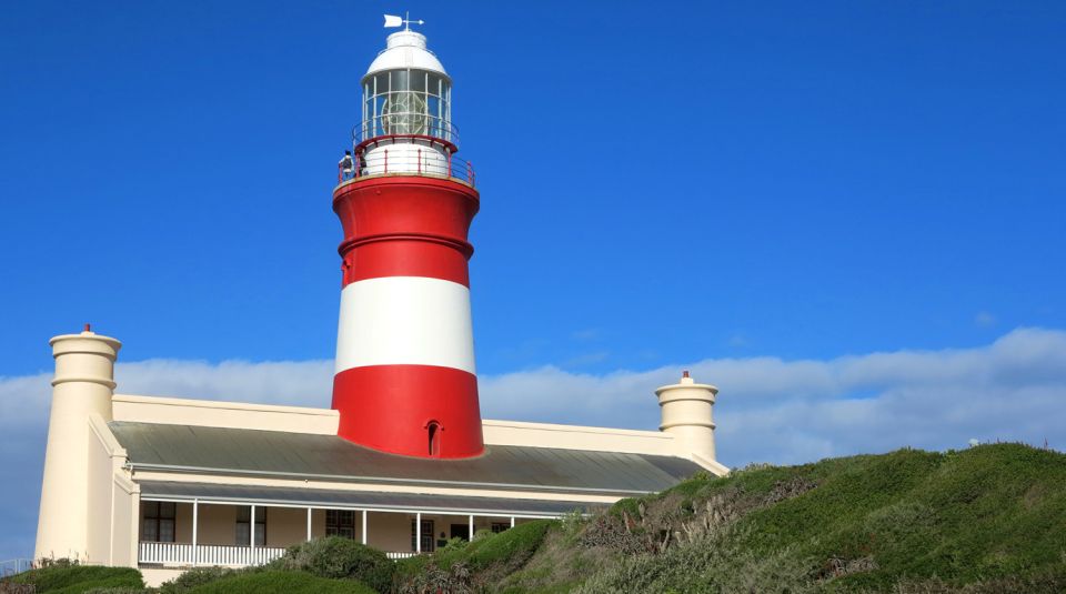 From Cape Town: Full-Day Cape Agulhas Private Tour - Tour Description