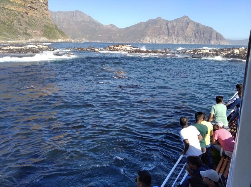 From Cape Town: Glass-Bottom Boat Seal Watching Tour - Booking Options