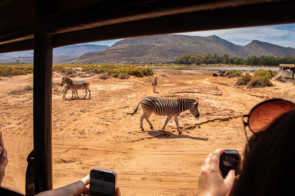 From Cape Town: Group Transfer Only to Aquilla Game Reserve - Experience Details